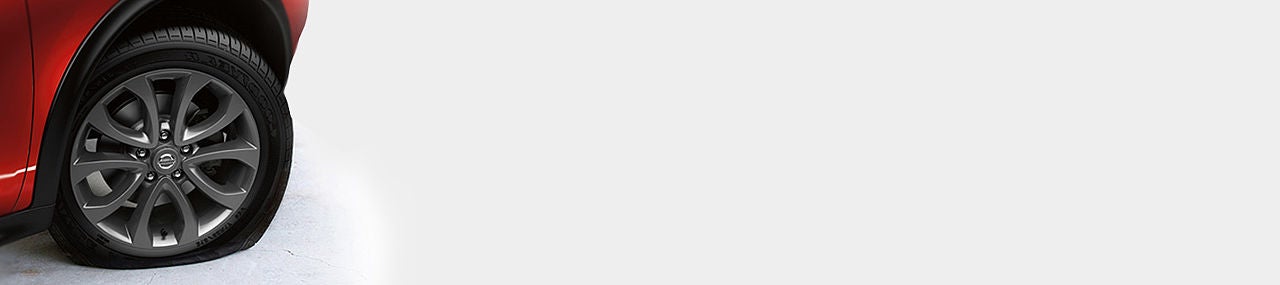 Eddie Tourelle's Northpark Nissan in Covington LA