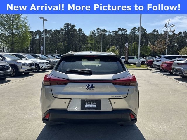 2020 Lexus UX 250h
