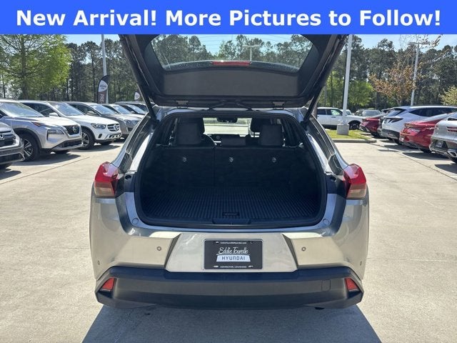 2020 Lexus UX 250h